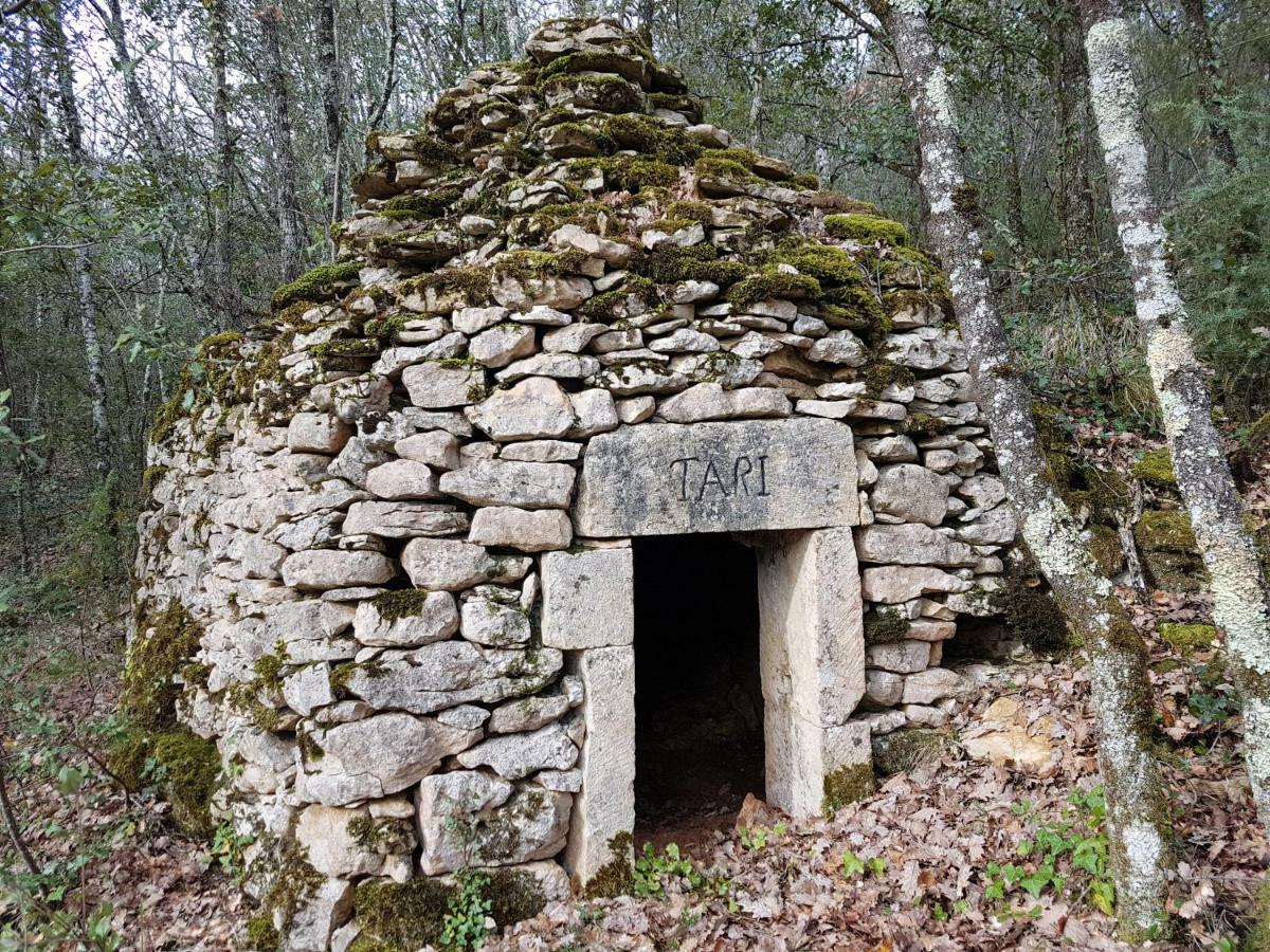 La Maison De Tari Vitrac  Dış mekan fotoğraf